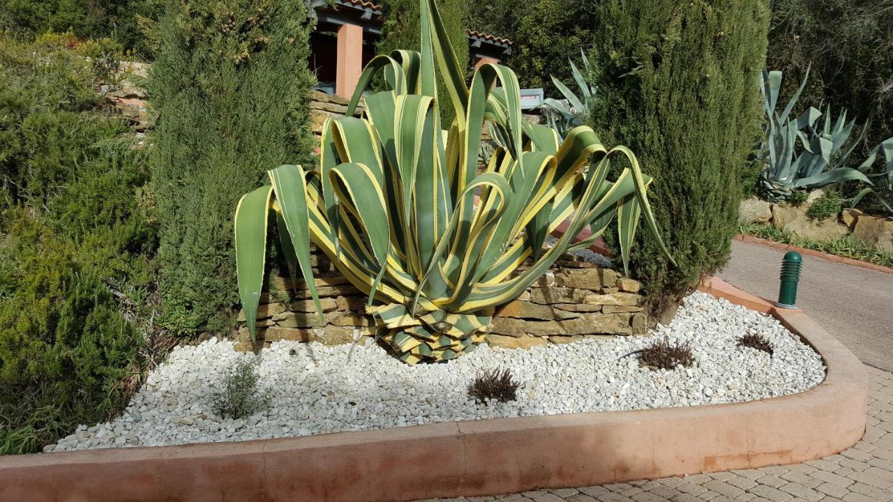 לה קסטלה La Maison Du Castellet מראה חיצוני תמונה